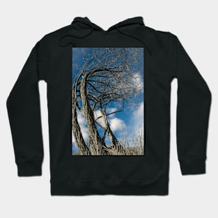 Green Islands 1 Hoodie